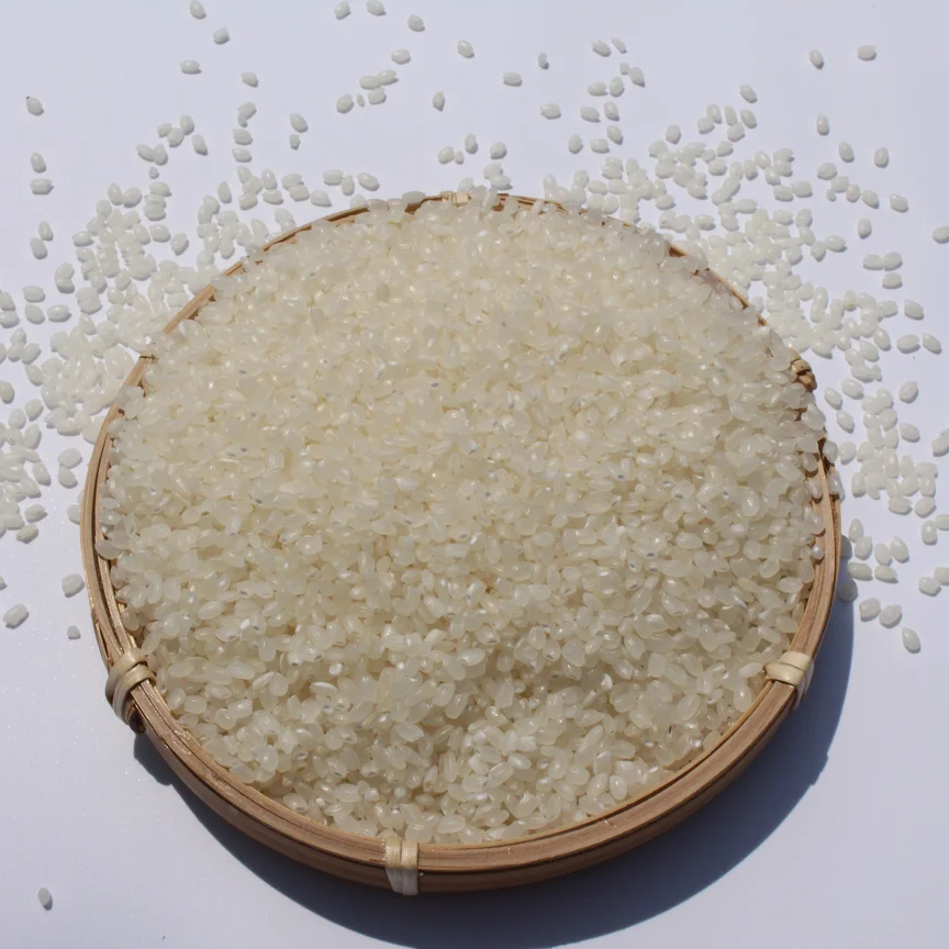 Wholesale Premium Quality Short-Grain Rice White Color Japonica Rice DS1from Vietnam Best Supplier