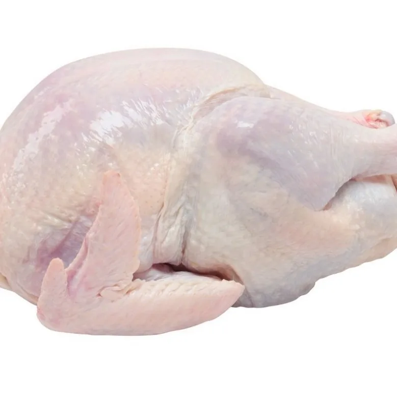 HALAL Frozen Whole Chicken From Brazil ready for export