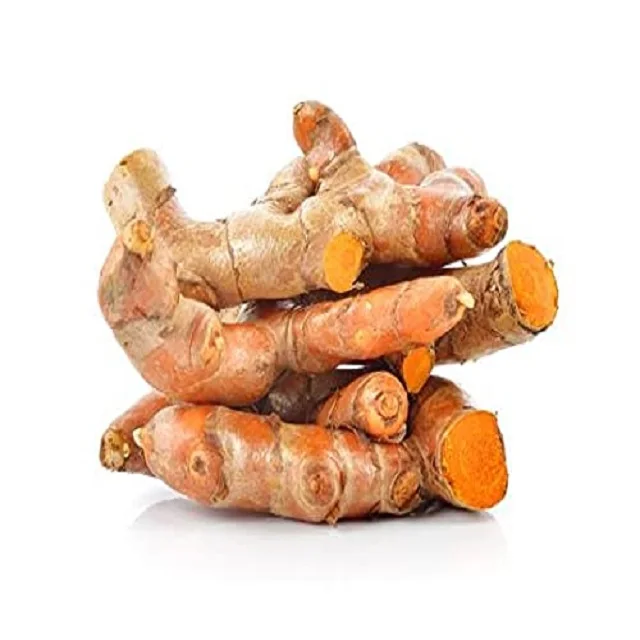 Curcuma Longa Fingers Turmeric Fingers Haldi