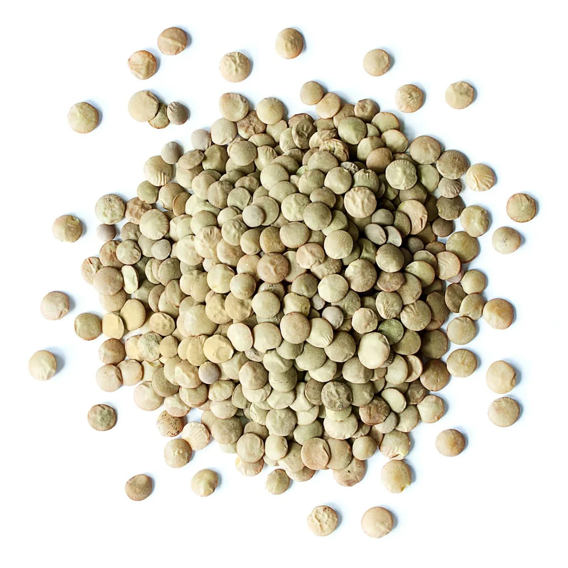 READY 25Kg 8mm Healthy Canadian Whole Green Lentils Bags / Best Green Lentils Wholesale Suppliers/Where To Buy Green Lentils