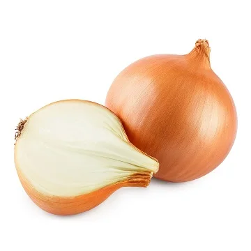 WHOLESALE RED ONION/ YELLOW ONION/ WHITE ONION IN BULK