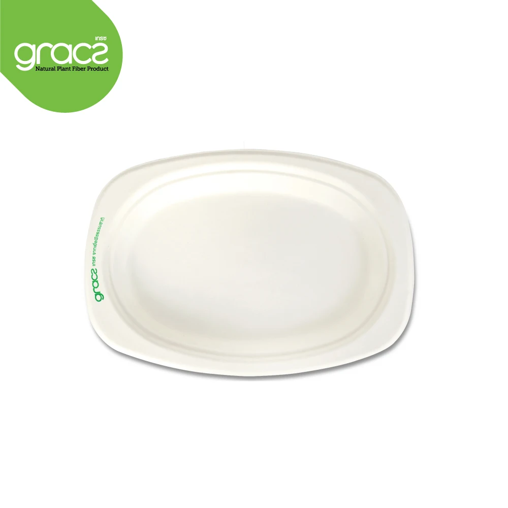 
Gracz P009 Oval Plate 6.5 inch Food Containers Sugarcane Pulp Packaging Compost from Thailand 