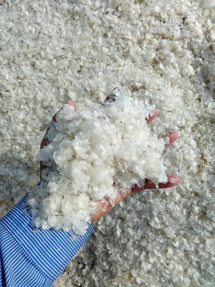 Весы для рыбы DIRED по низкой цене из Вьетнама-Axel + 84 38 776 0892