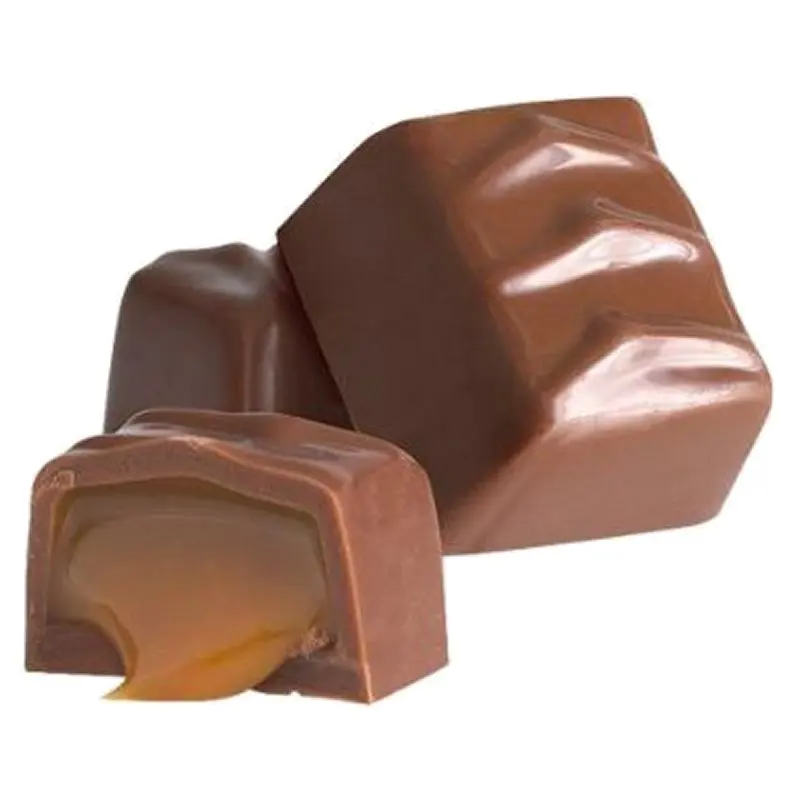 Chocolate Molding Machine