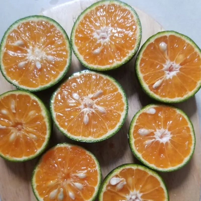 Vietnam Hot Selling 100% Natural Orange Fresh Fruit With Best Price
