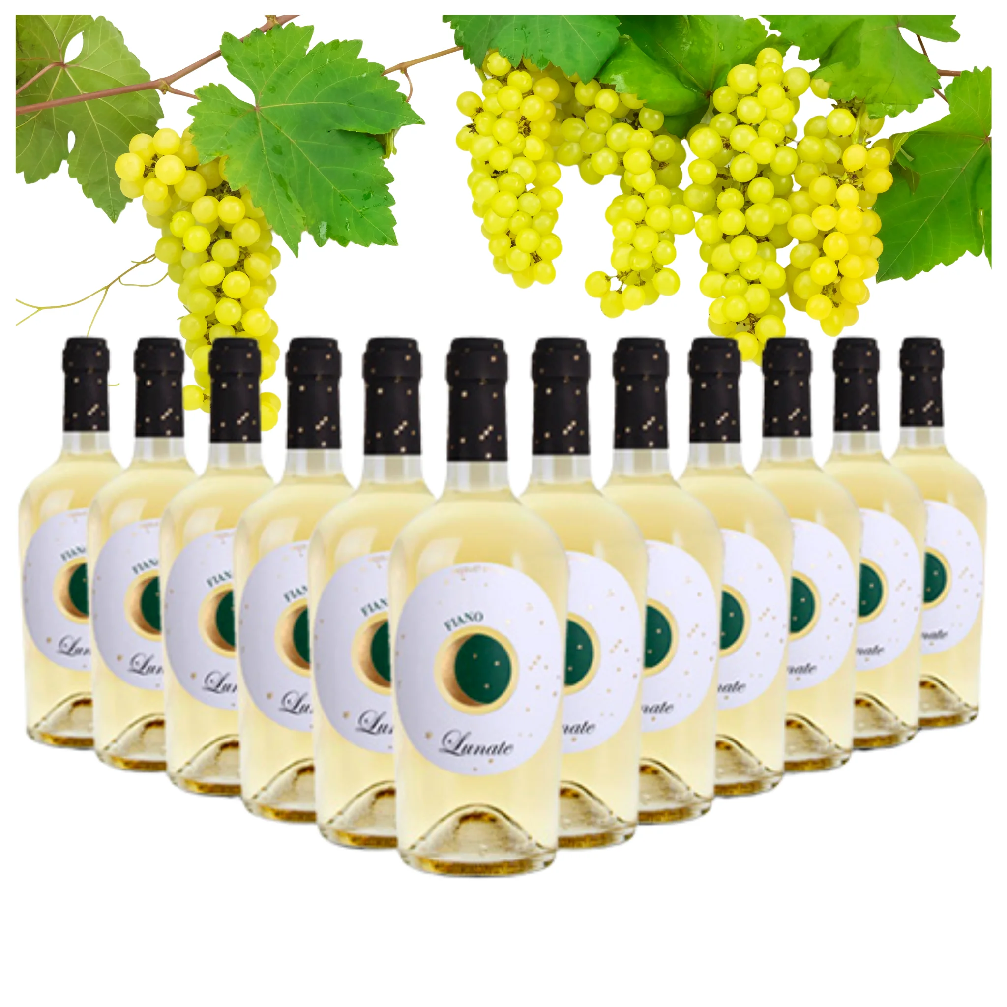 Italian White Wine - Fiano Terre Siciliane IGT Lunate - Wine bottles 750 ml alcohol wine 13.5% for export