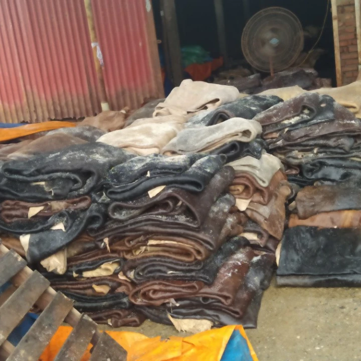 Wet salted cowhide  sale 2021
