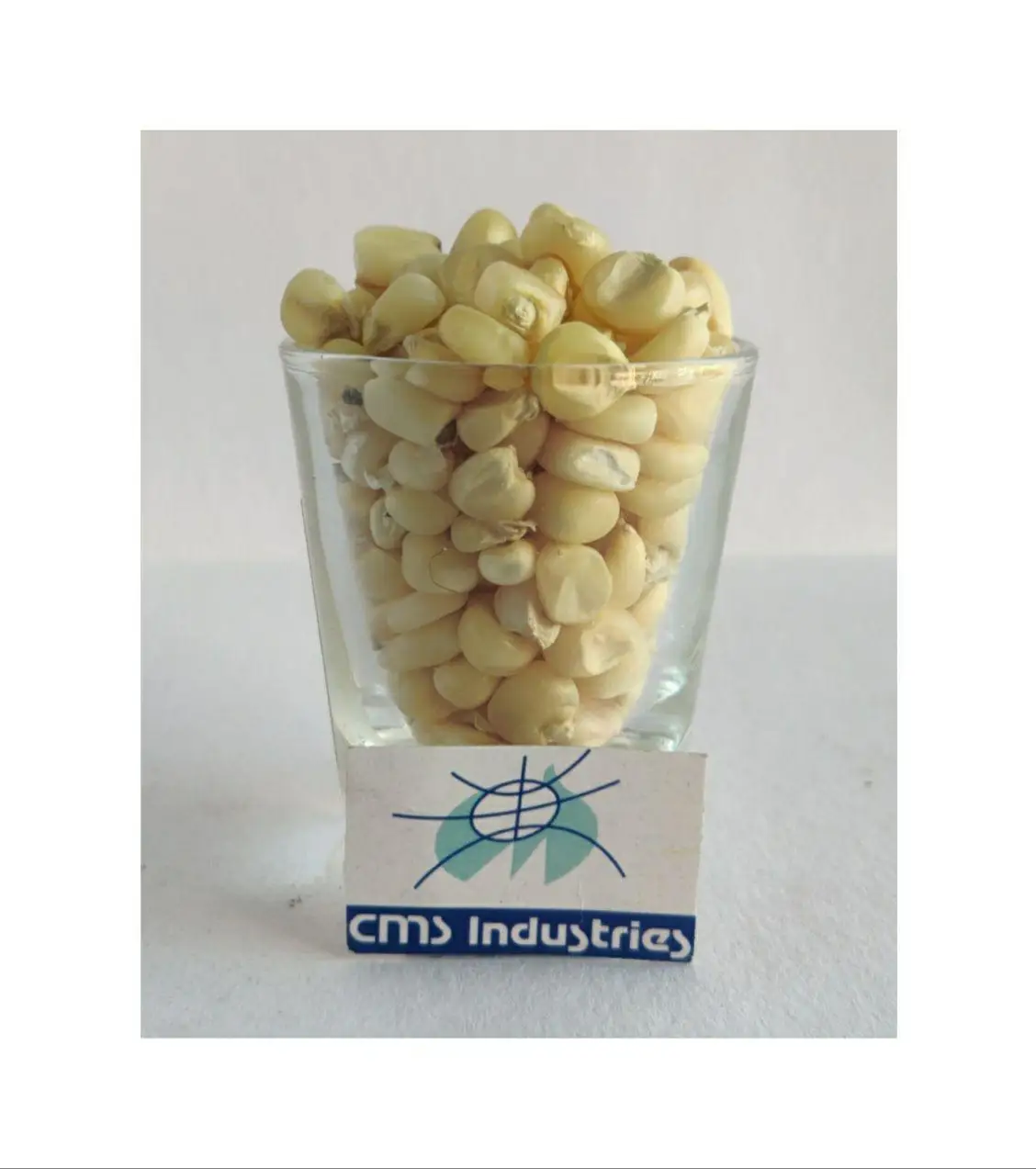 Refine White Maize or Corn  for Animal Use