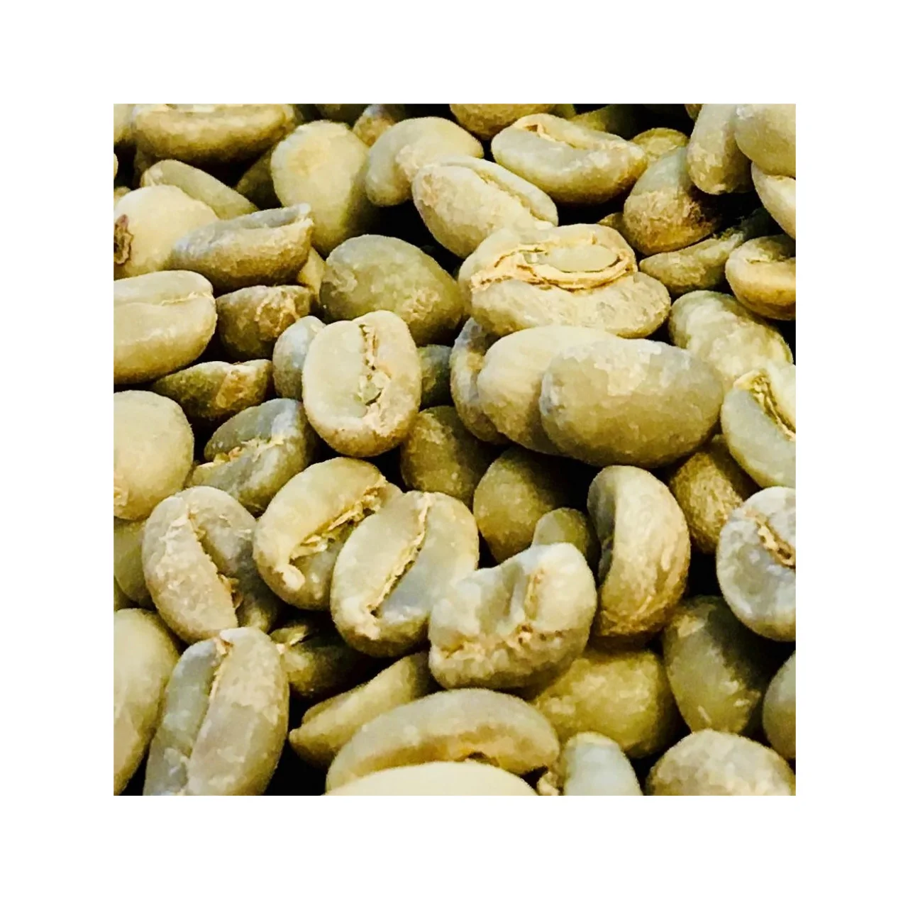 Hot selling coffee beans green green speciality coffee beans energy drink coffee scrub