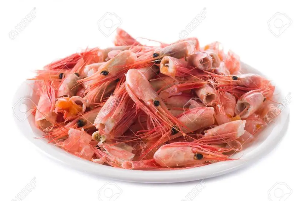 
DRIED SHRIMP SHELL & SHRIMP POWDER FOR ANIMAL FEED - HIGH QUALITY 