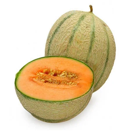Fresh Melons For Sale / Hybrid F1 Musk Melon Seed / FRESH ROCK MELON WITH GOOD PRICE