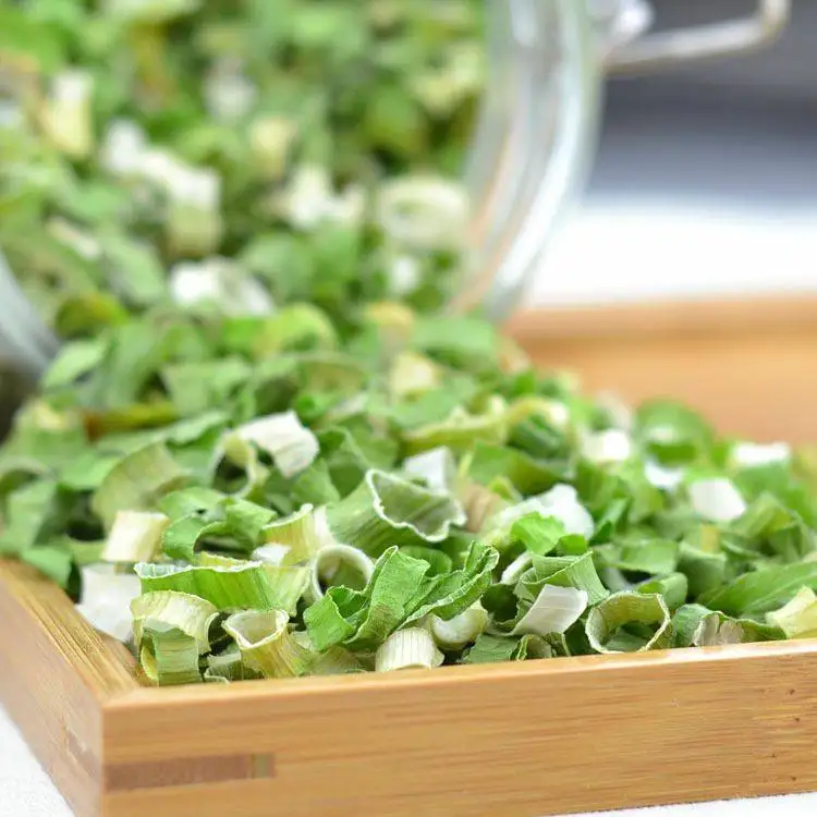 Wood dryer dehydrator