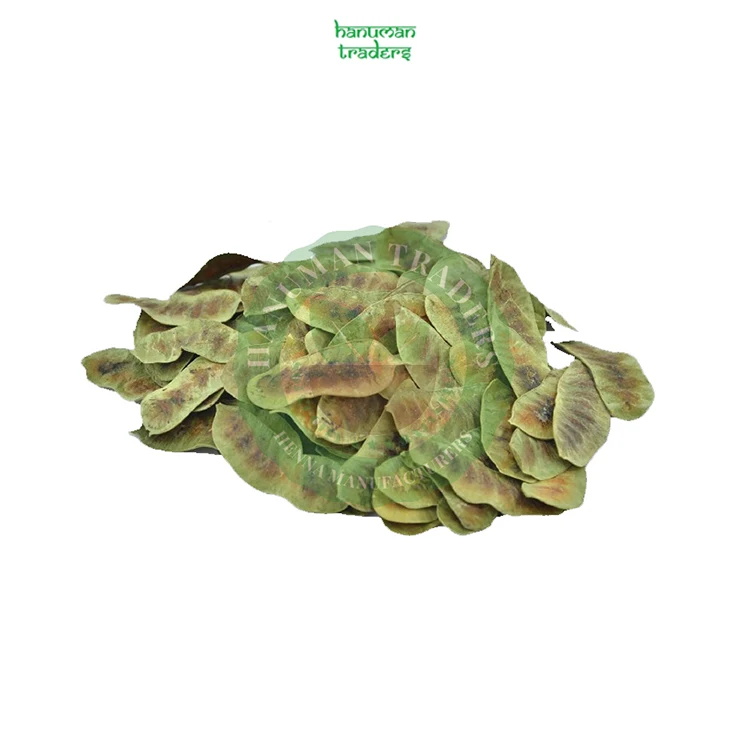 Best Selling Good Quality Natural Senna Leaf/Senna Pods for Bulk Buyers
