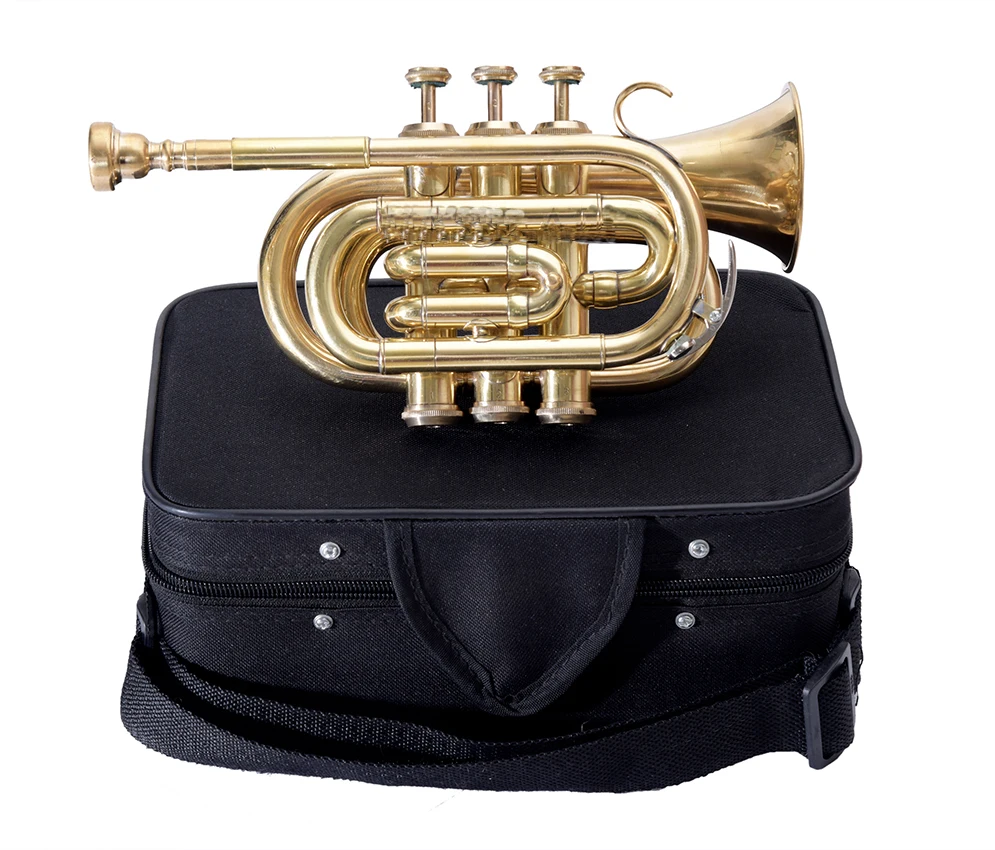 NASIR ALI NEW PROFESSIONAL BEAUTIFUL BB PITCH BRASS POCKET TRUMPET PREMIUM QUALITY WITH INCLUDE HARDCASE AND MOUTHPIECE
