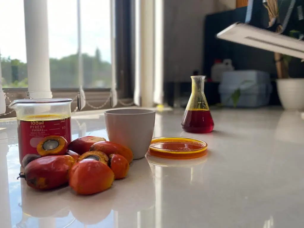 Indonesia Agricultural 100% Purity Natural Crude Palm Oil (CPO)For Cooking