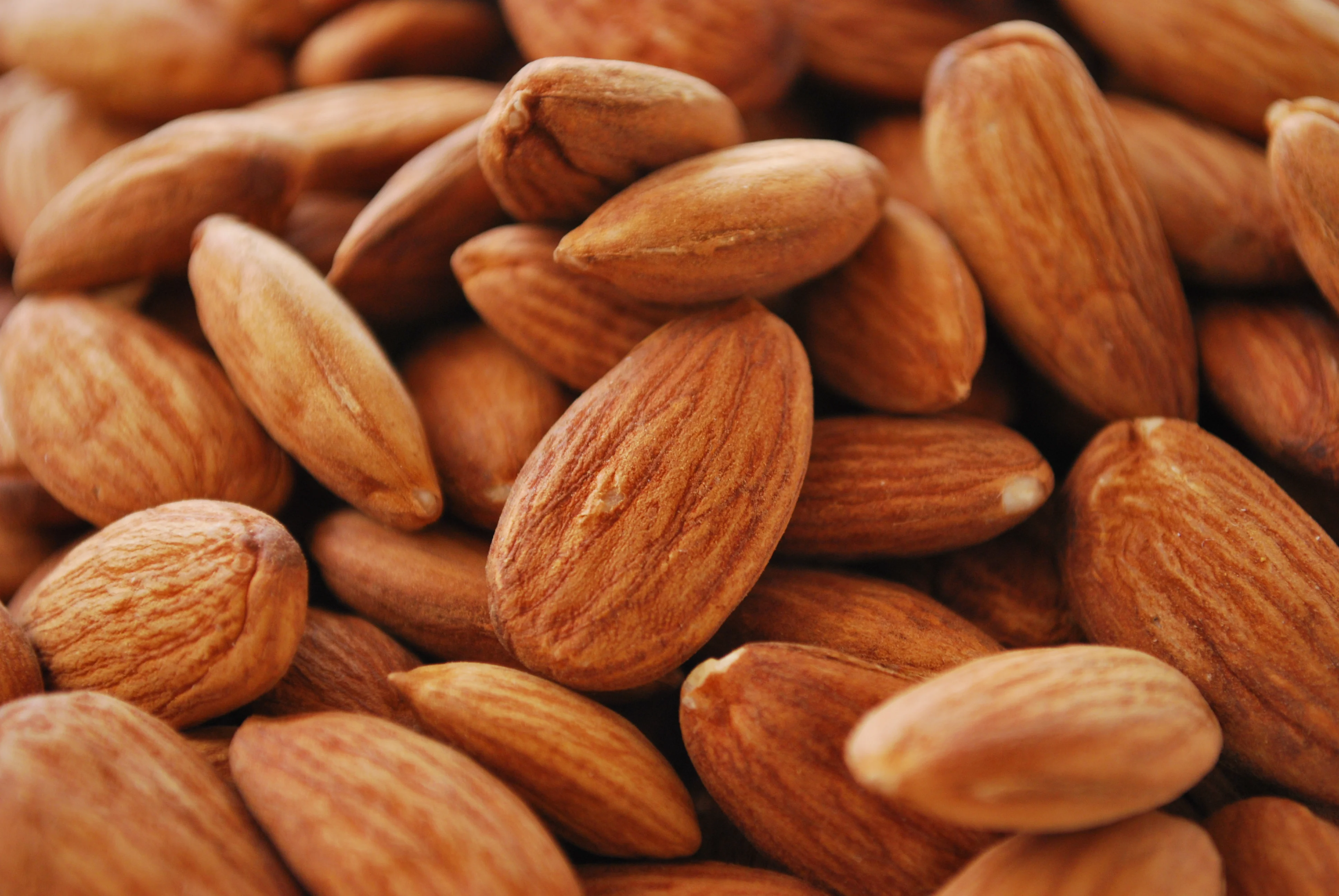 
ORGANIC RAW ALMONDS PASTEURIZED ALMENDRAS 