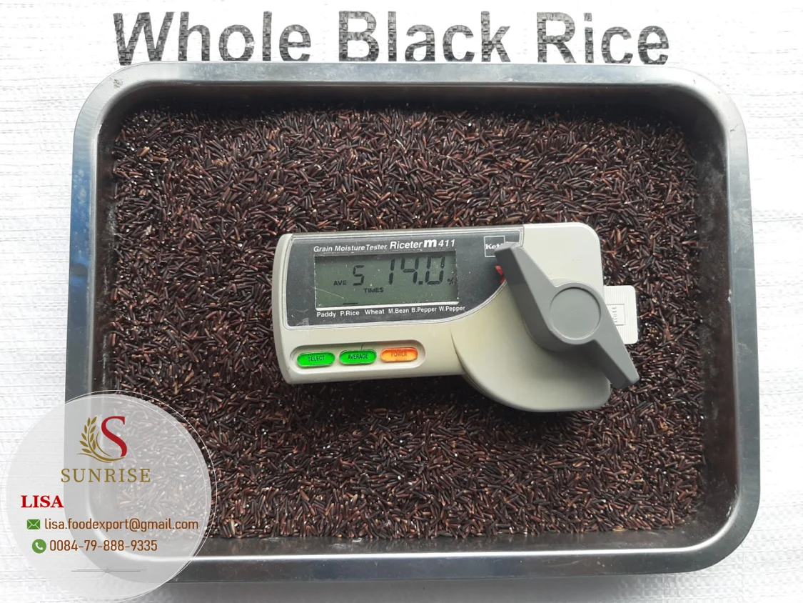 Wholesale Viet Nam High Quality Aromatic Rice Black Purple 5% standard Organic Good Price - Lisa 0084798889335