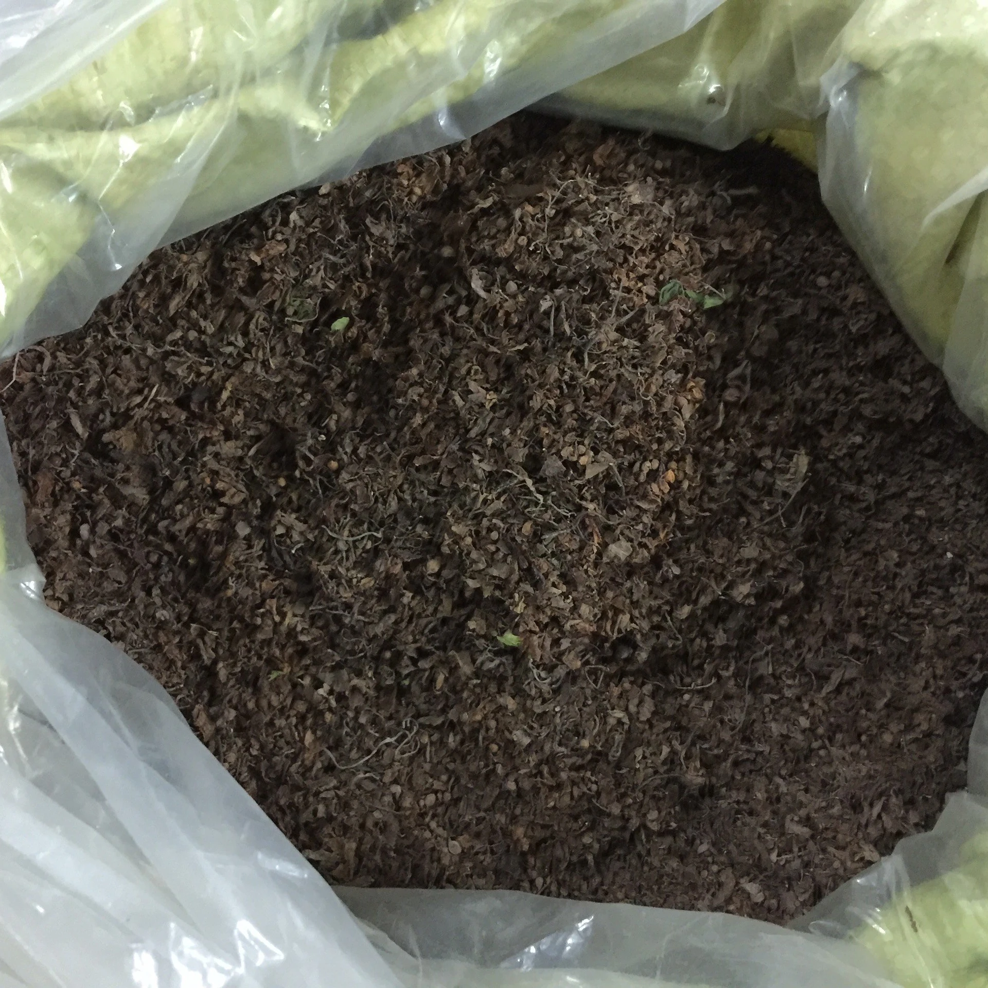 Сушеные на солнце морские водоросли из Вьетнама по лучшей цене WhatsApp или Wechat: + 84383874313 мистер Фат