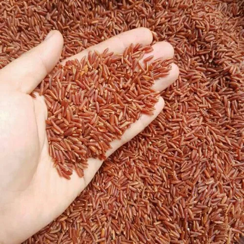 Natural Top Quality Organic Red Rice Long Grain Rice Pollution - free Red Rice - Whatsapp 0084 989 322 607