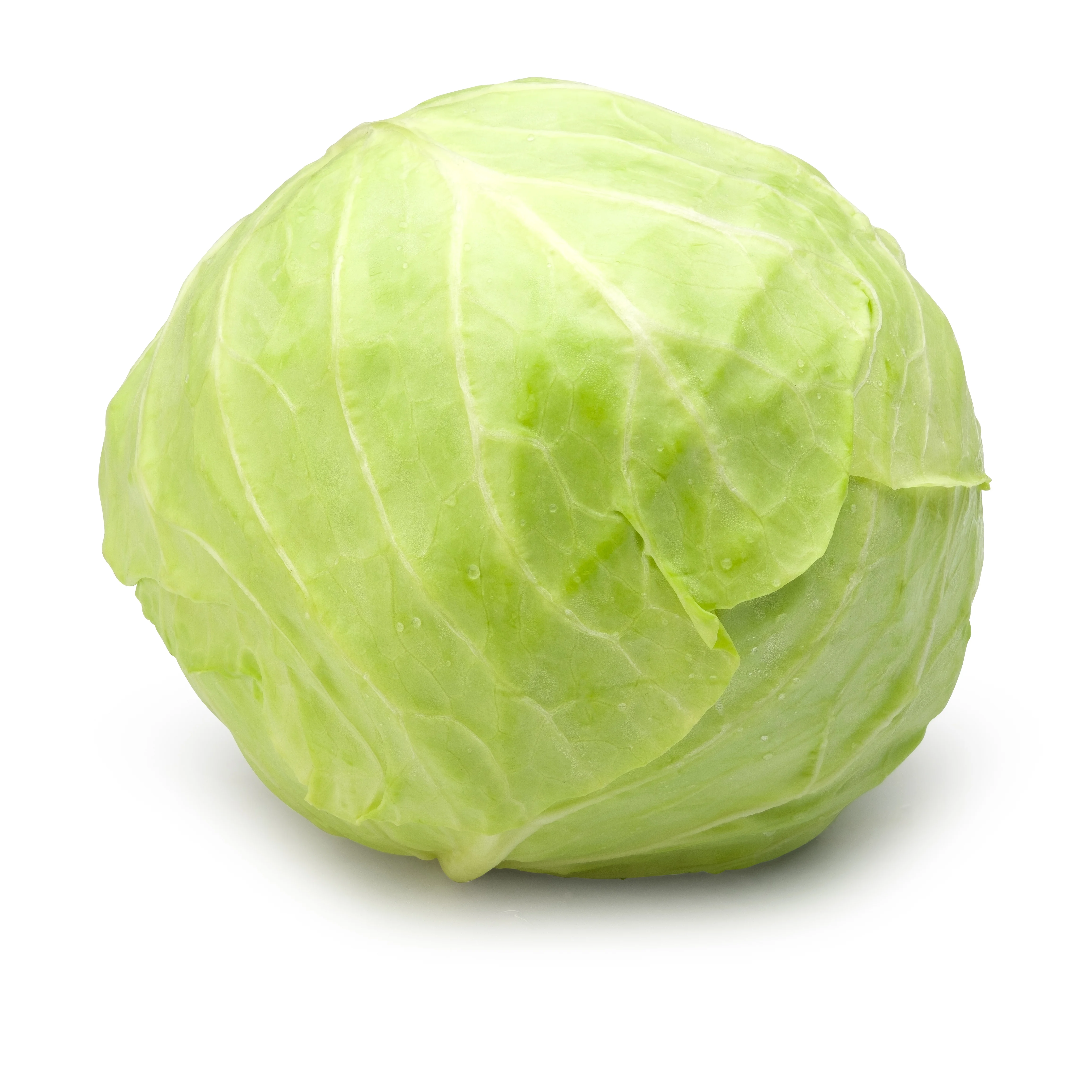 Cabbage Wholesale New Crop Round Shape Origin Turkey Variety Products Fresh Green Ball Style High Quality Fresh Cabbage