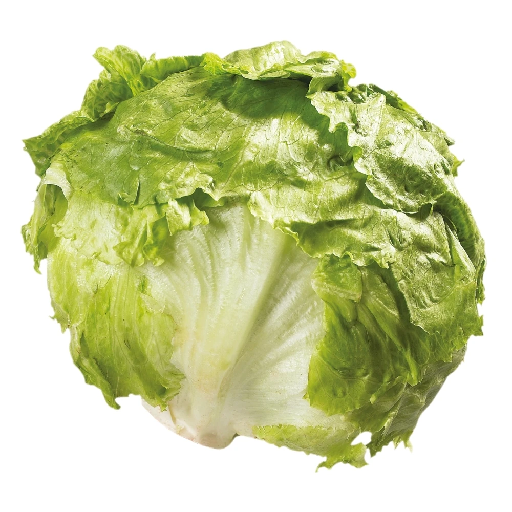 Свежий Айсберг салат