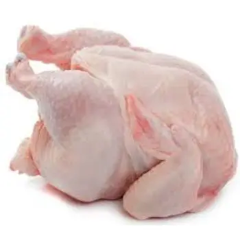 
Wholesale halal frozen whole chicken For Sale / Halal Frozen Boneless Chicken Breast] 