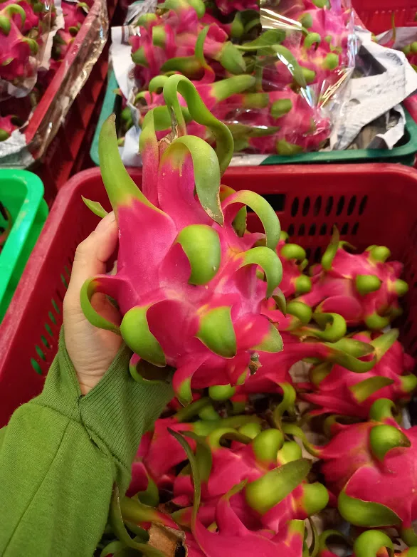  Красный/белый (питайя) фрукты пара термической обработки высокое качество свежая питайя естественного сладкого 0084947900124