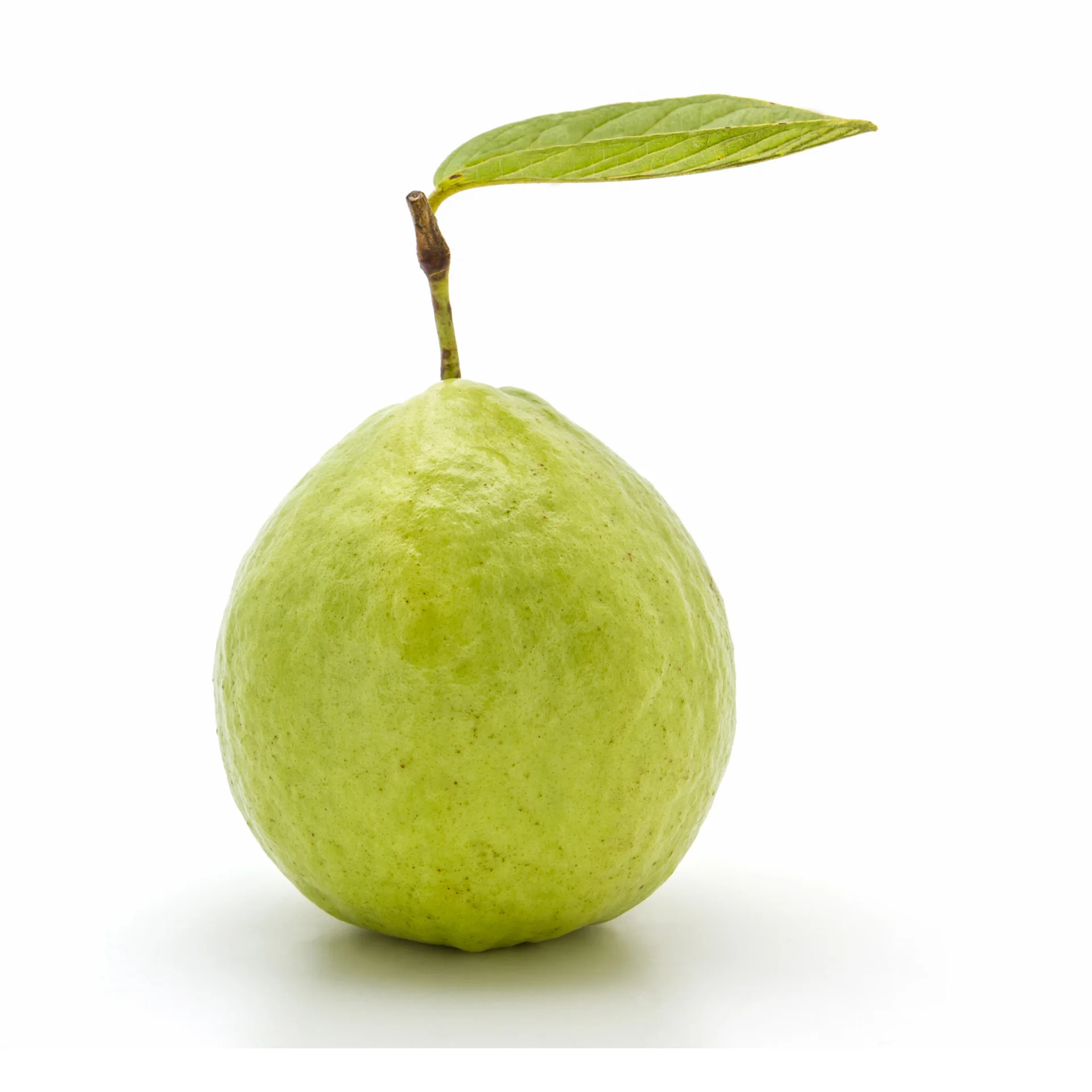 Guava - High quality