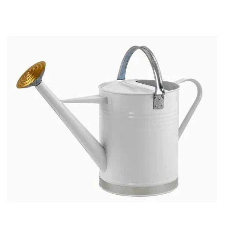 Printed Design Galvanized Black Color Water Can For Garden Use Indoor And Outdoor Plants Watering Can In Bulk