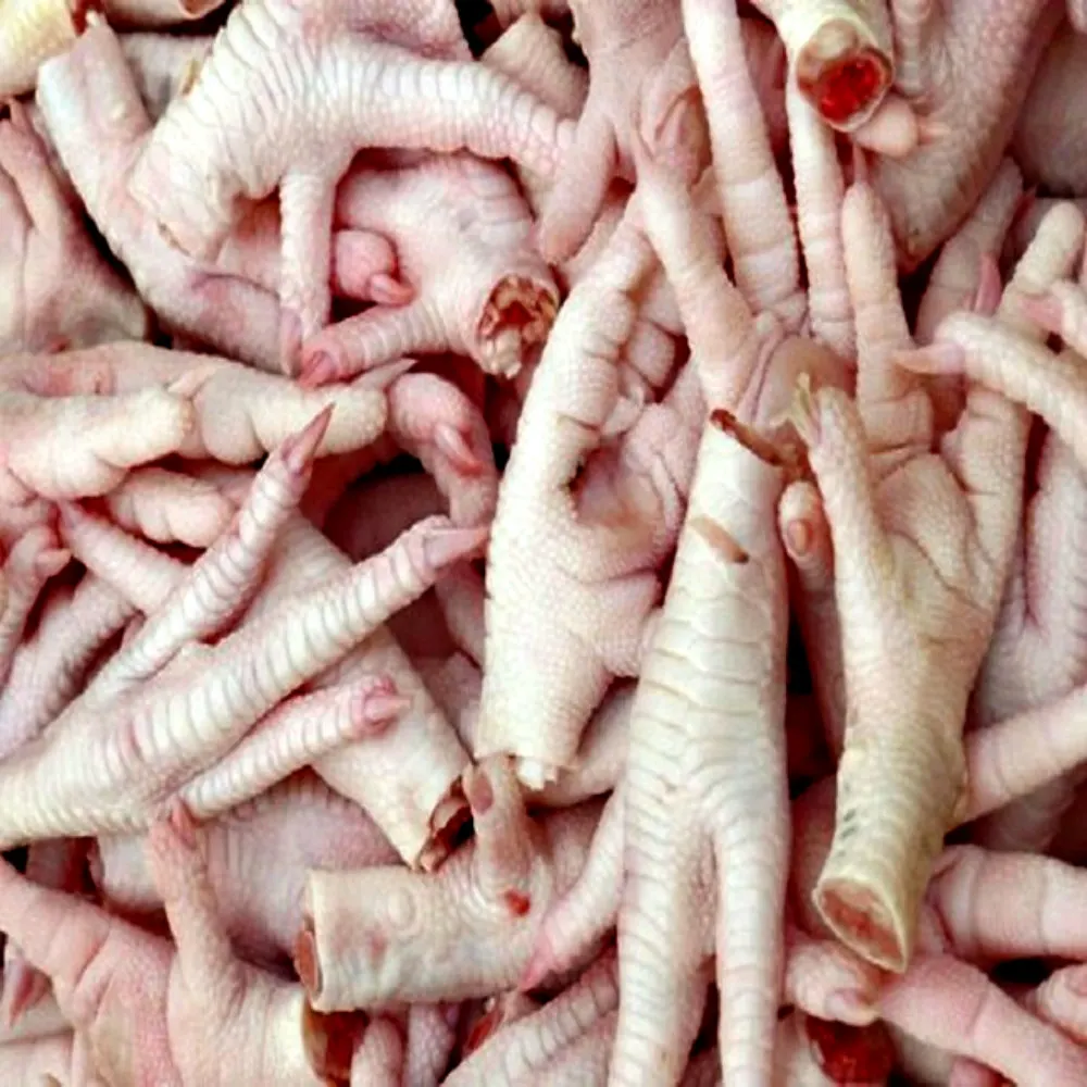Chicken Feet / Frozen Chicken Paws Brazil / Fresh chicken wings and foot
