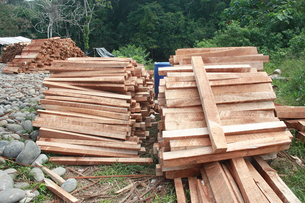 Листы Дерева Balsa из