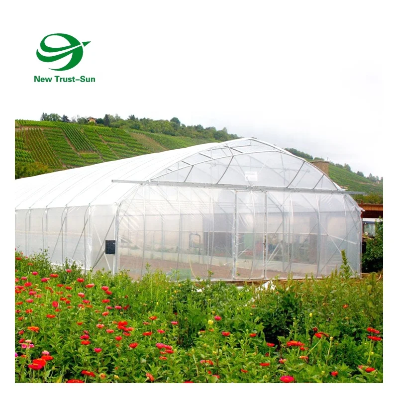 
Low Cost High Quality Tunnel Commercial Used Aquaponic Single-span Greenhouses 