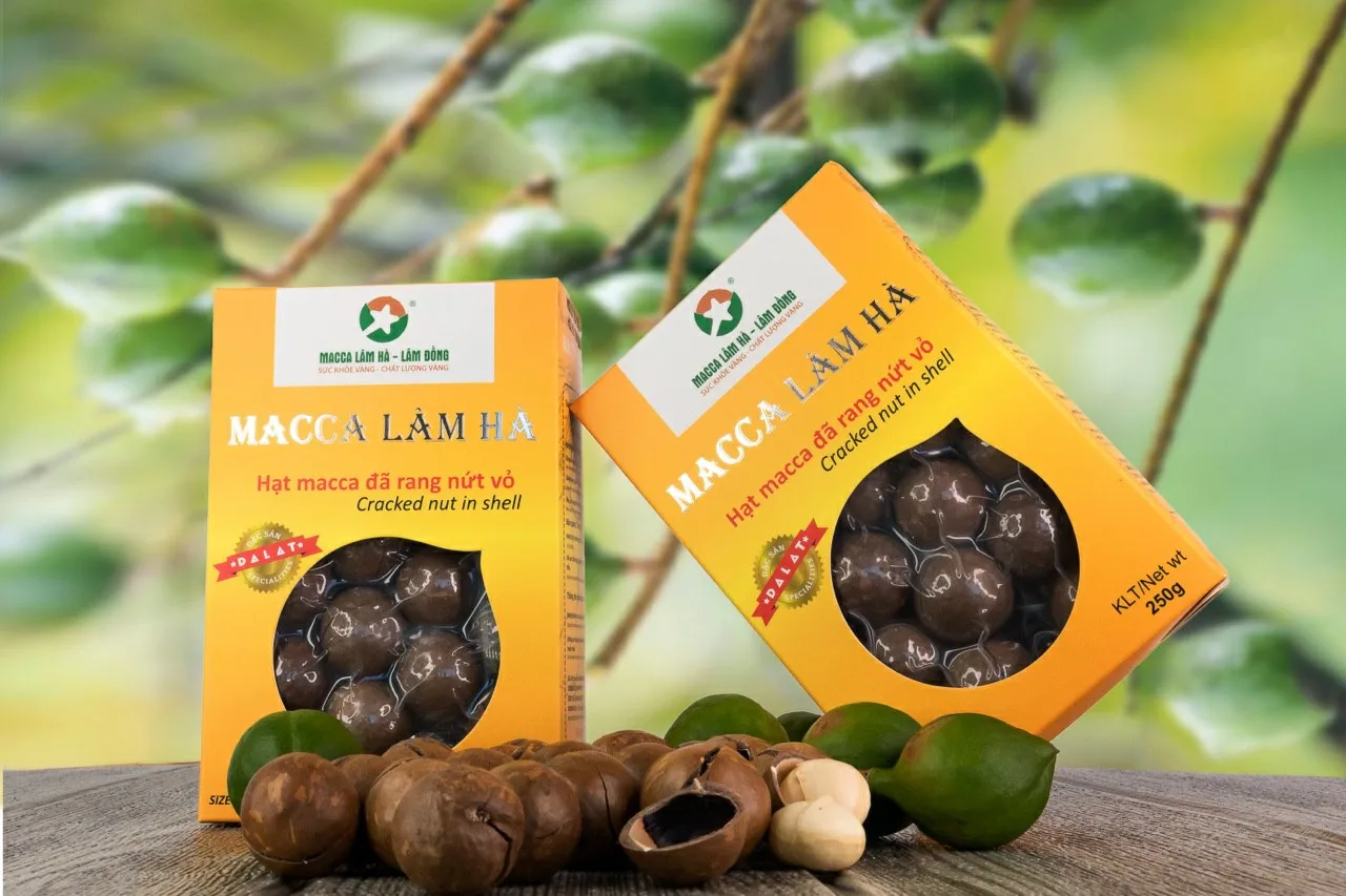 12 months shell life Dry Cracked in Shells Dried Style Organic Cultivation Type 25+mm Macadamia nuts (yellow box) from Vietnam