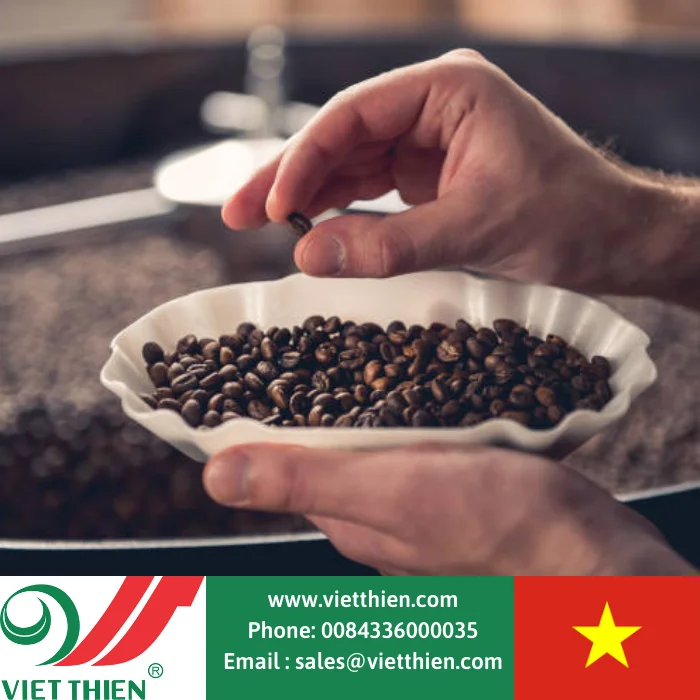 Кофейные зерна с отличным вкусом Robusta выбираются и обрабатываются оптом для экспорта во всем мире от вьетнамских фермеров