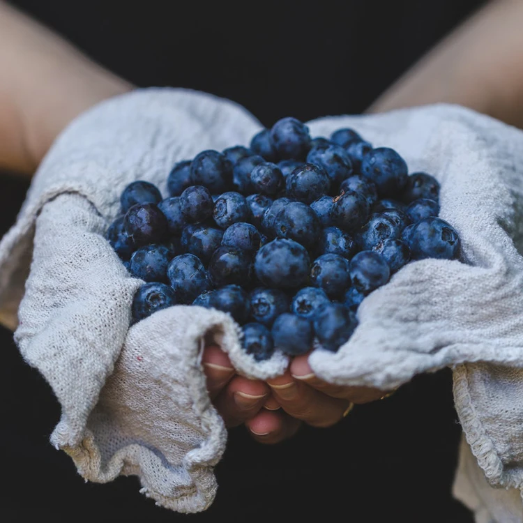 
Sphagnum Peat Moss Substrate , pH 5,5 -6,5 (Compressed) 