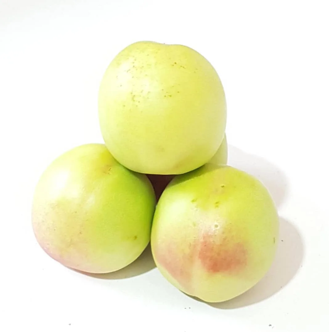 Fresh  Yellow and green Nectarine  - Shams Nectarine