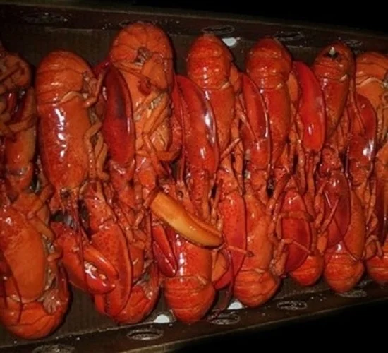 BEST DEALS LOW COST FROZEN LOBSTER / FROZEN LOBSTER TAIL / FRESH LIVE LOBSTER