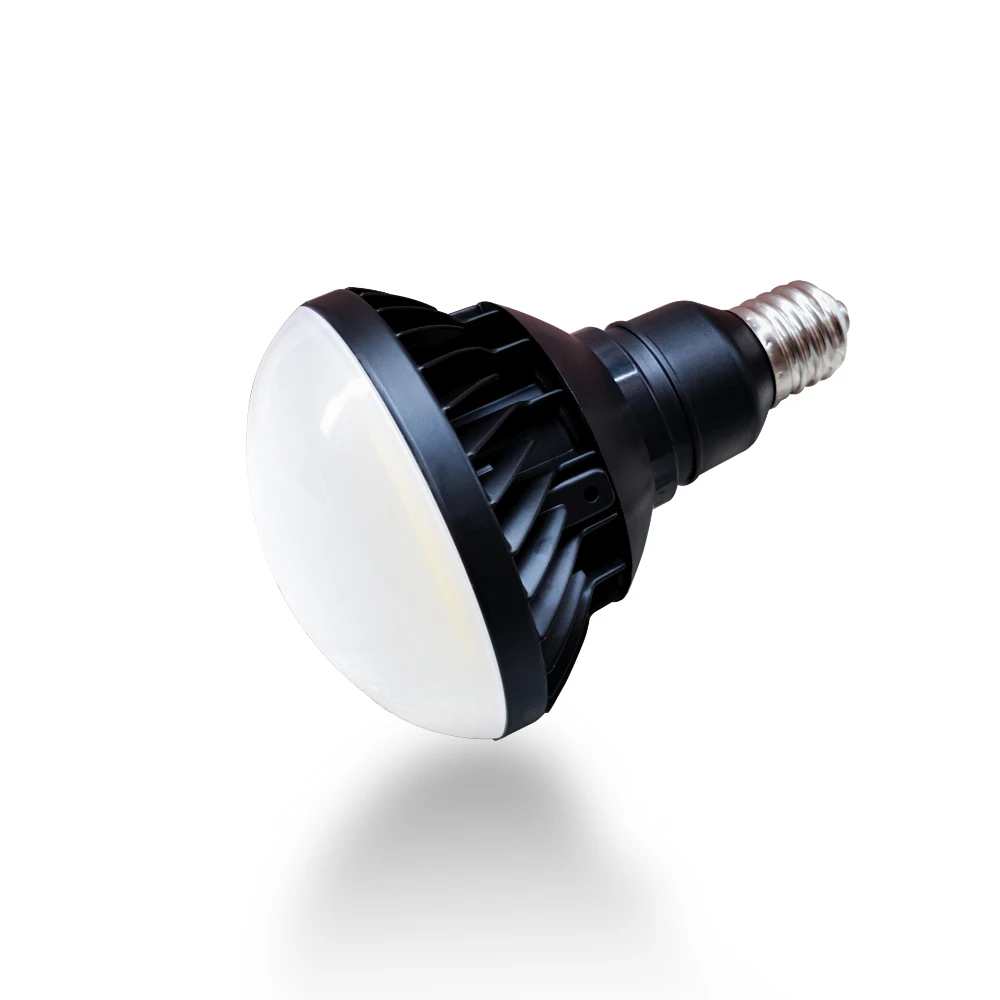 New pattern 180lm/w high lumens e26 e39 IP65 Par 38 Par 56 led bulb Par light 18w 20w 40w 48w led mercury lamp
