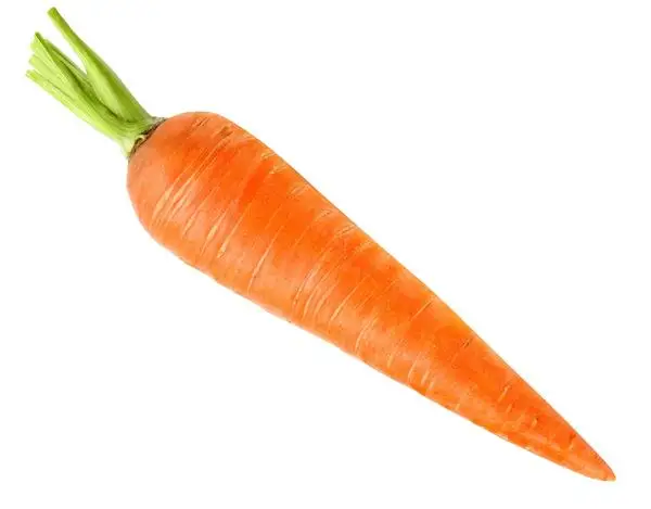 Лучшая цена с высококачественной свежей моркови из Вьетнама (50007901039)