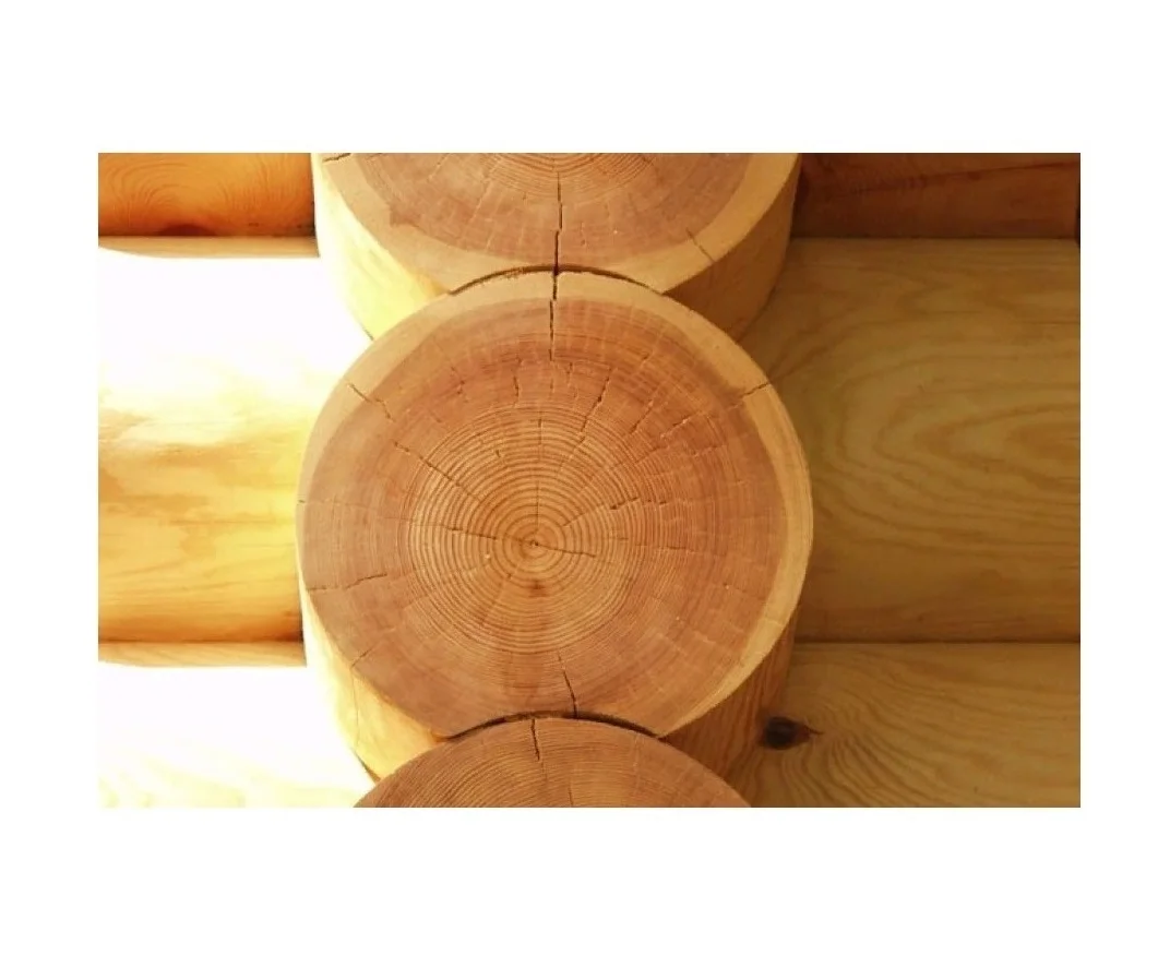 High quality round wooden logs