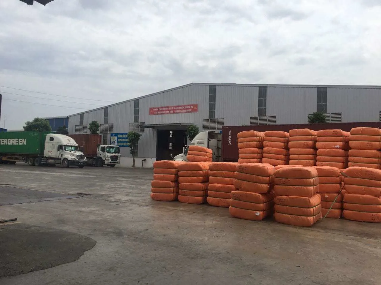 Hollow Conjugated Siliconized Polyester Staple Fiber  white color A grade