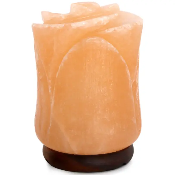 Adorable exporter of Portable Crafted Rose USB Salt Lamp in Bulk quantity form Pakistani origin export