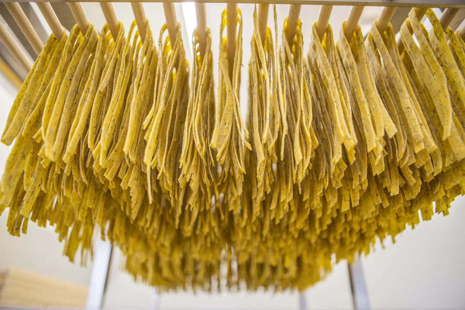 Corn and Rice Flour Hand Made Magnatera Lasagne Gluten Free Flour 250 G Italian Organic High Quality Pasta ORGANIC Yellow 250 Kg