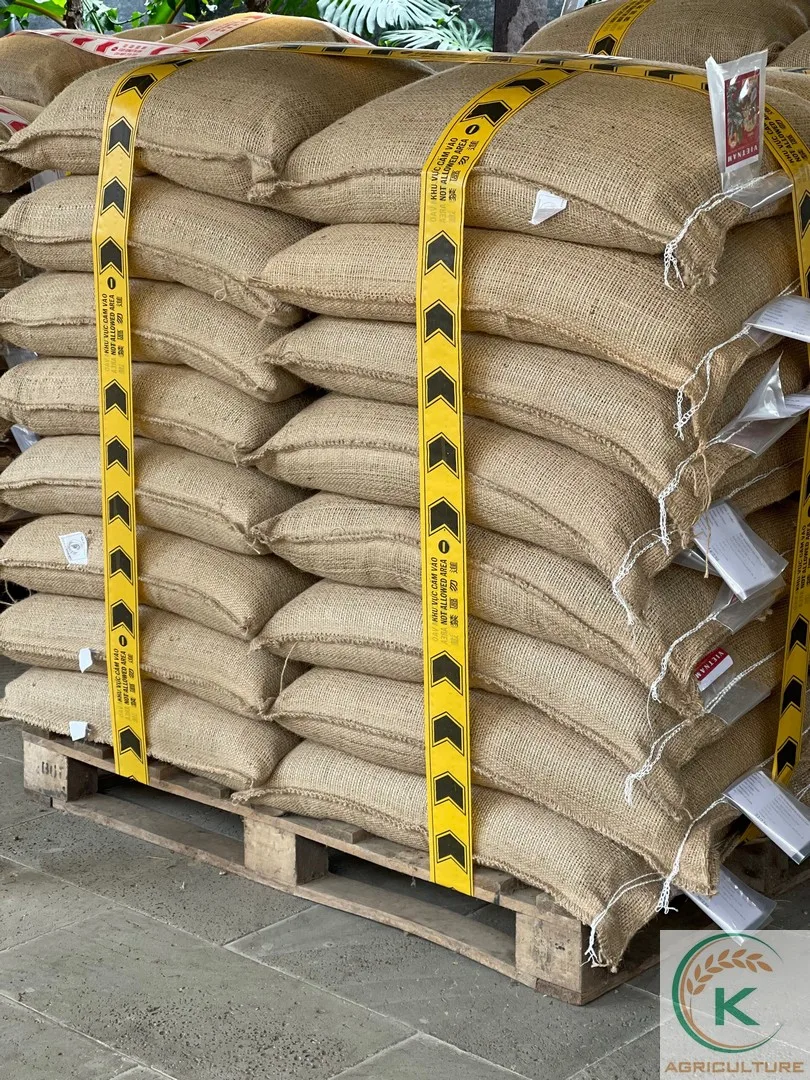  Лучшая продукция высокого качества ST24 РИС лучший для продажи ВЬЕТНАМСКИЙ