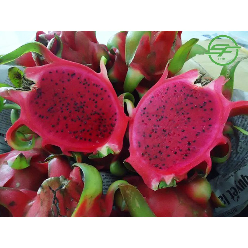 Безопасные вкусные фрукты дракона, вьетнамские деликатесы