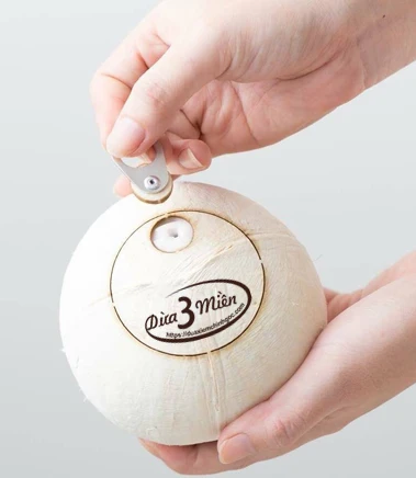 Vietnam 100% BENTRE FRESH WHOLE COCONUT WATER