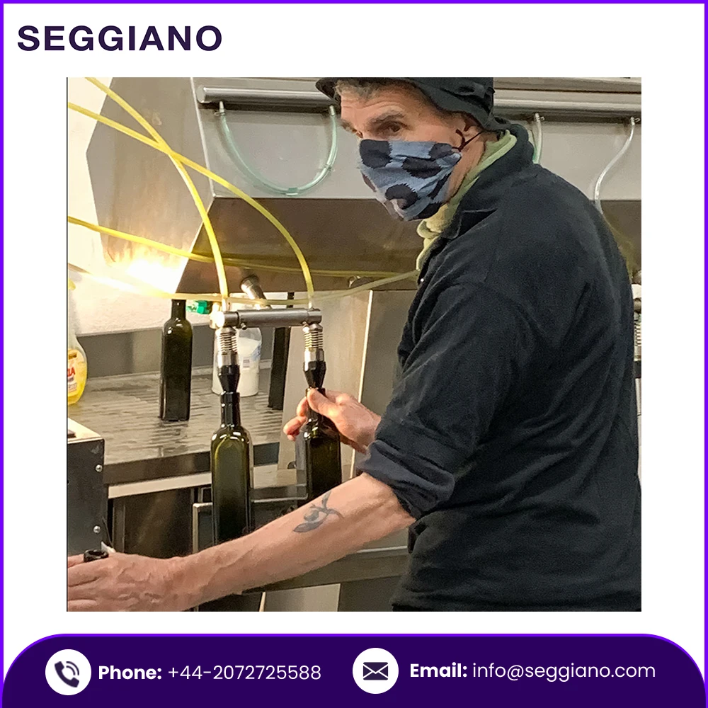 Top Quality Italian Olive Oil 100% Pure 500ml Best Italian Extra Virgin Olive Oil Manufacturer