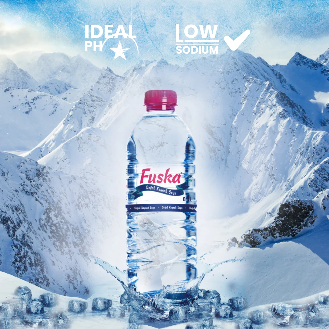  Pure Water Bottled Fuska 500 ml Natural