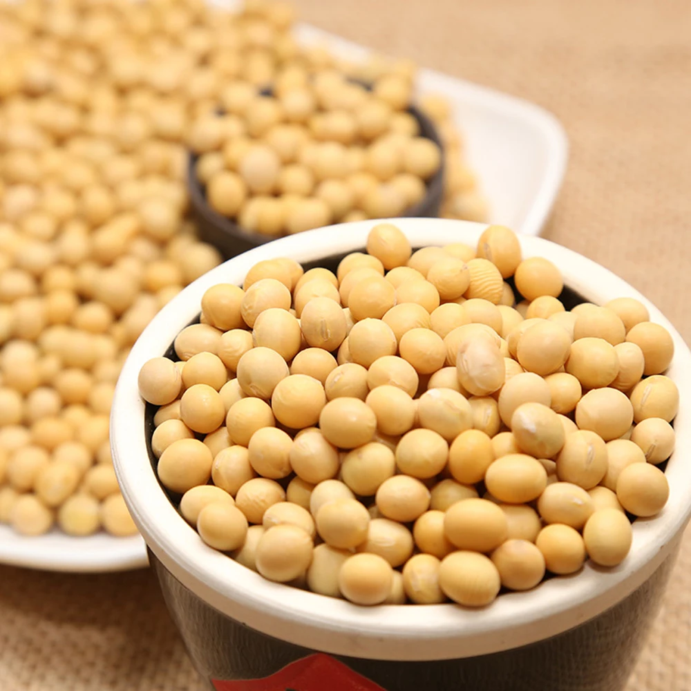 Gmo Dried Soy Beans SoyaBeans Organic SoyBeans Premium Non GMO Soybeans and Soya Beans / Soy Bean for sale