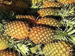 Вкусные свежие ананасы высшего качества от Munster Farm